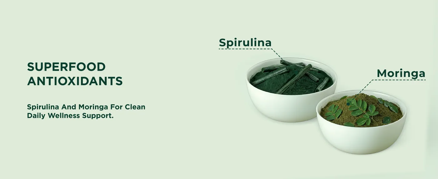 EcoVita A+ Desktop Banner 3